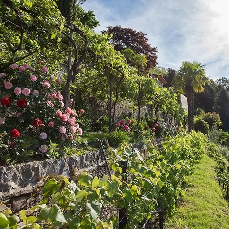 Appartamento Paradiso Cannero Riviera