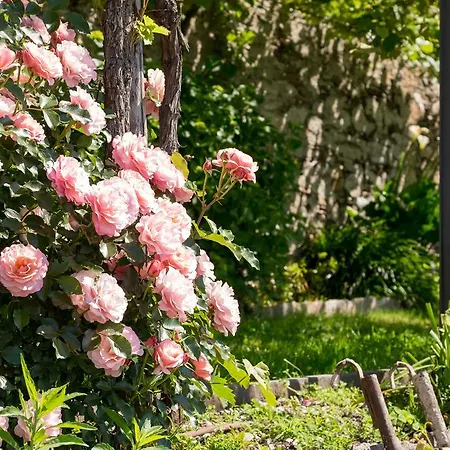 Paradiso Appartamento Cannero Riviera