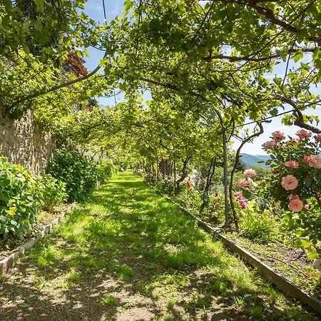 Apartment Paradiso