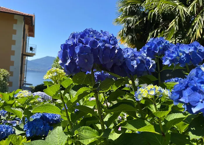 Lejlighed Paradiso Cannero Riviera