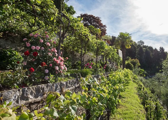 아파트 Paradiso 카네로 리비에라