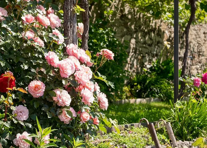 Paradiso 아파트 카네로 리비에라